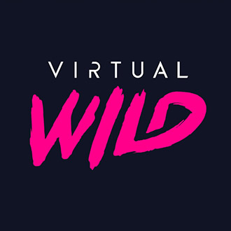 Vega Top 10 Agencies of the Year 2025 - Virtual Wild