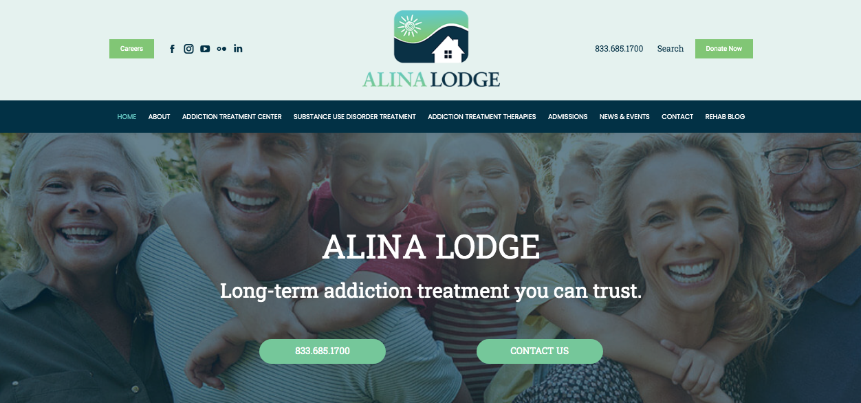 Vega Digital Awards Winner - Alina Lodge Homepage