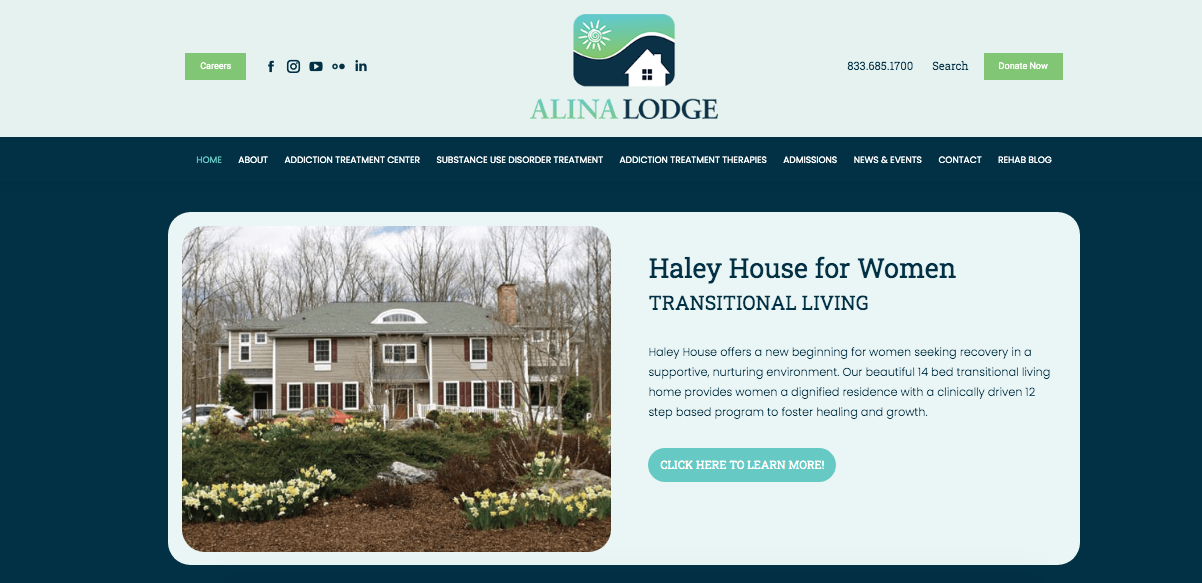 Vega Digital Awards Winner - Alina Lodge Homepage