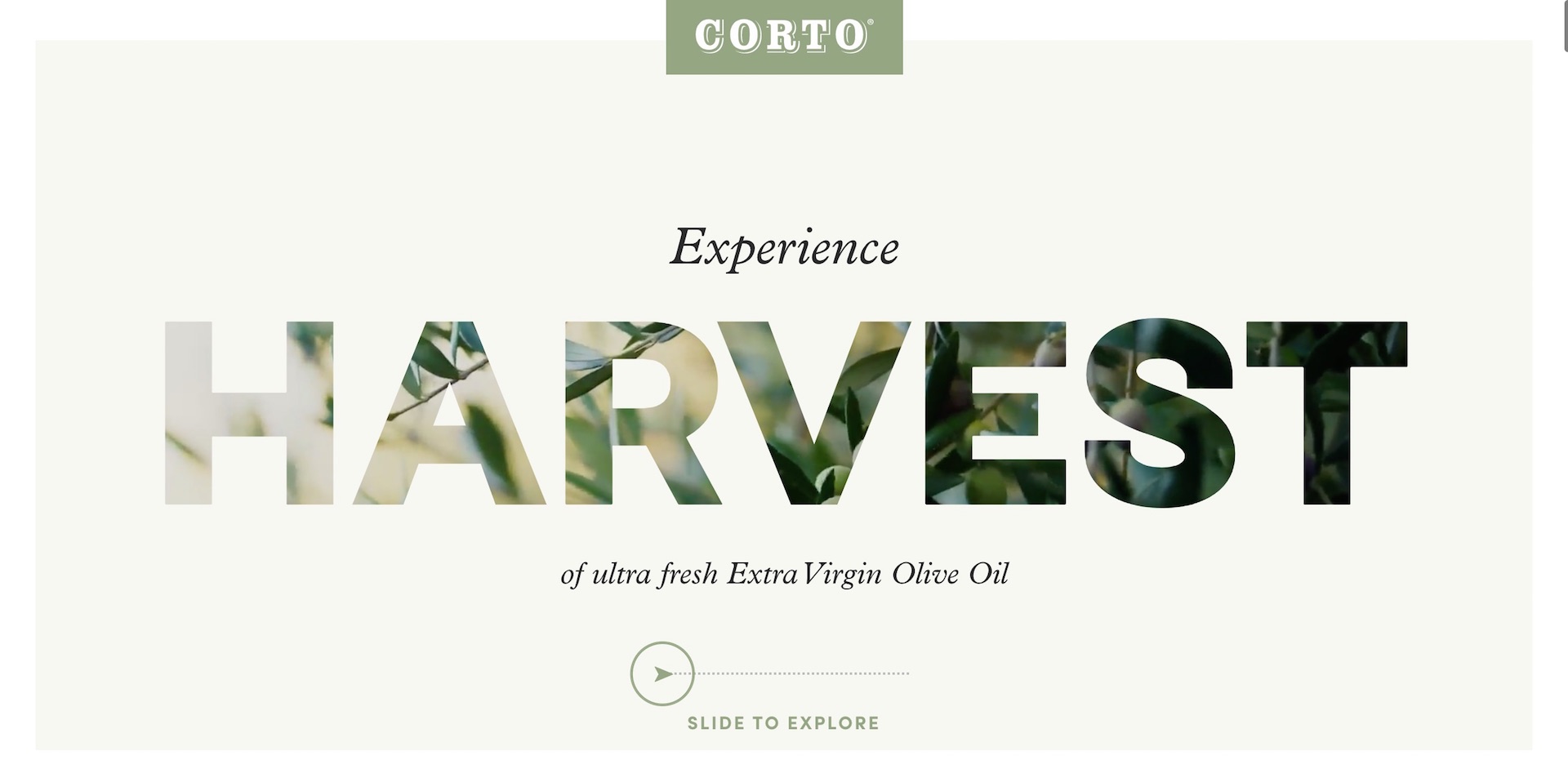 Vega Digital Awards Winner - Corto Olive Oil, Fall Harvest 