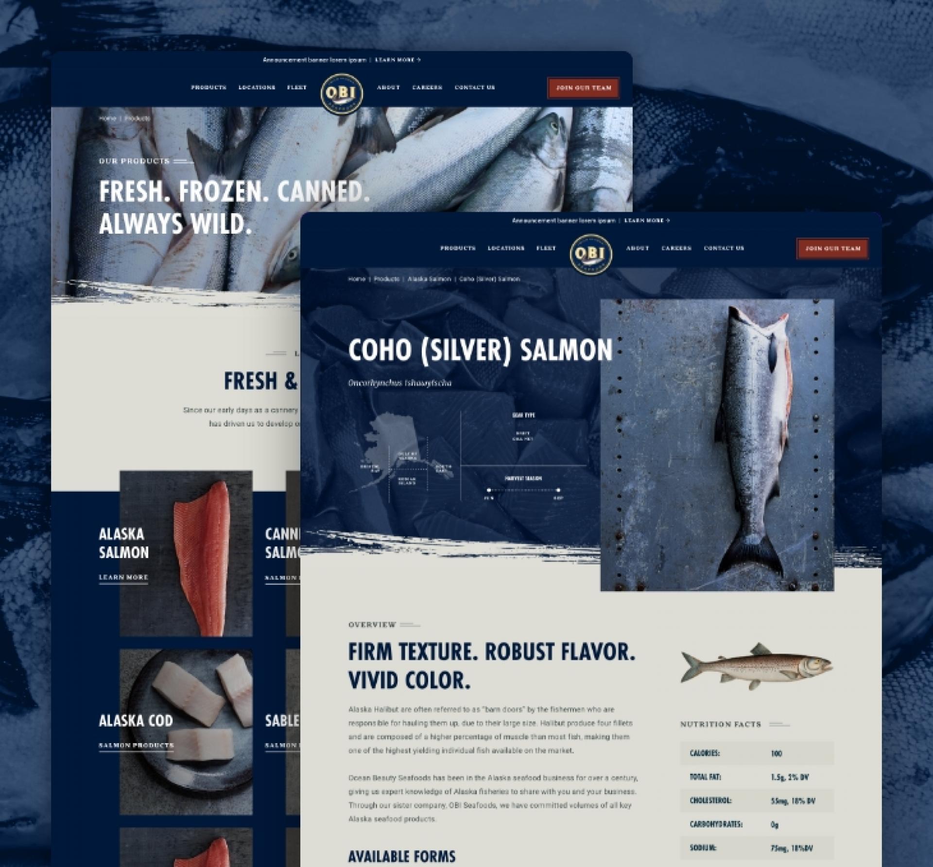Vega Digital Awards Winner - OBI Seafoods Redesign, efelle creative
