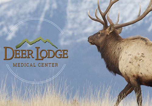 Deer Lodge Medical Center, Scorpion - Vega Website Awards Winner