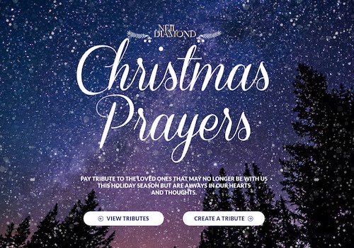 Christmas Prayers, Genome - Vega Website Awards Winner