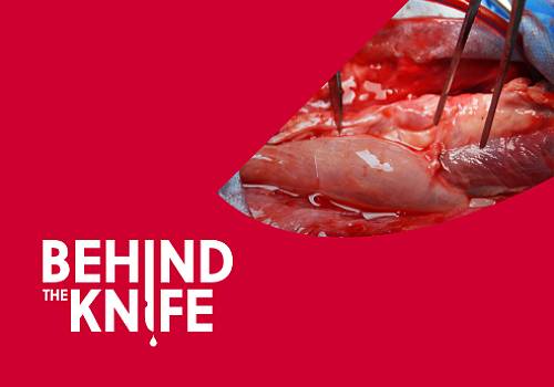 Behind The Knife Website, 500 Designs - Vega Website Awards Winner