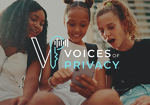 Children and Privacy in the Online World, PRISM - Vega Website Awards Winner