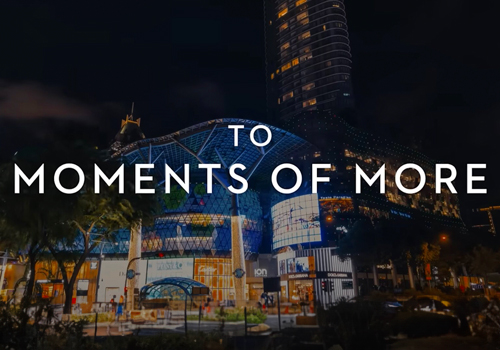 Moments of More, Moving Bits - Vega Website Awards Winner