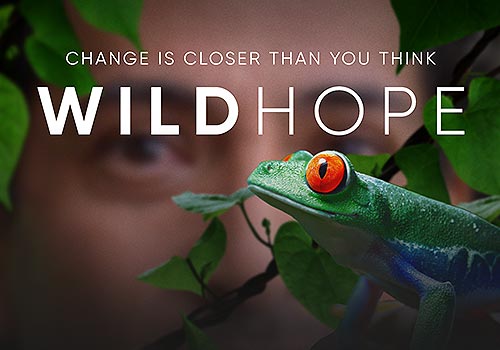 Wild Hope, Forum One - Vega Website Awards Winner