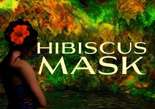 Hibiscus Mask - An Immersive Storyworld Animated Short Film, TooFar Media - Vega Website Awards Winner