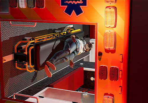 Woman suffers a TBI when an ambulance flips over during a cr, Total Trial Solutions - Vega Website Awards Winner