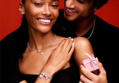 Vega Digital Awards Winner - Website & Mobile Sites, Consumer Goods & Retail, Pandora Digital Flagship