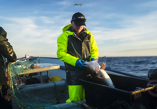 WaterWerks Agency | Vega Website Awards 2026 Winner