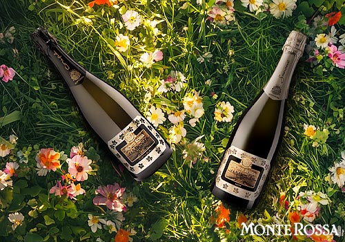 Vega Digital Awards Winner - Social Media, Food & Beverage, MONTEROSSA SOCIAL