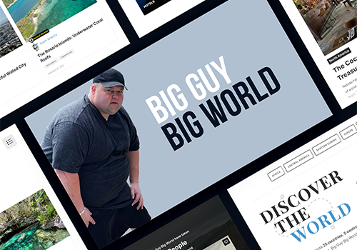 Big Guy Big World, Digital Renegades - Vega Website Awards Winner
