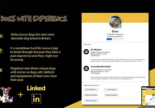 Dogs with Experience,  - Vega Website Awards Winner
