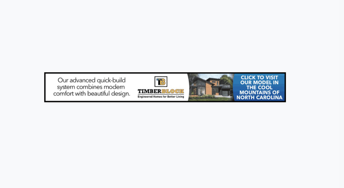 Vega Digital Awards Winner - Timberblock Homes-Blue Ridge, Greenspon Advertising