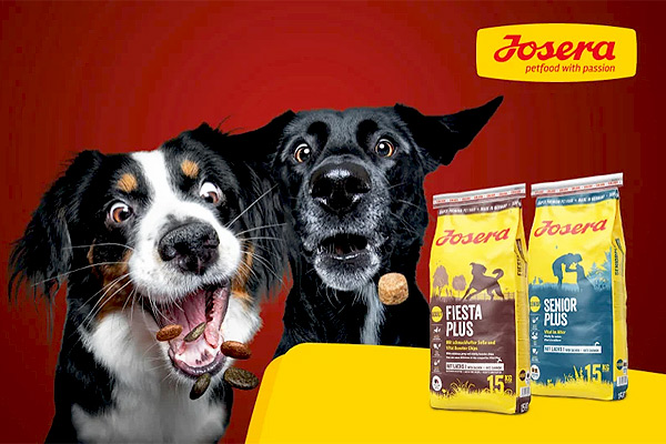 Al Dente Entertainment GmbH’s B2B Online Video Project Receives Gold Award